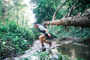 BIB: 
                            <button type="button" onclick="openModal(25432763)" class="btn btn-primary btn-sm float-right btn-popup" data-toggle="modal" data-target=".modal-high-quality">
                        <i class="fas fa-shopping-cart"></i> Add to Cart
                    </button>
                                            <button type="button" onclick="isThisMe(25432763, true)" class="btn btn-success btn-sm float-right btn-popup btn-isme hidden" data-toggle="tooltip" data-placement="bottom" title="นี่คือรูปของคุณใช่ไหม คลิกที่นี่เพื่อเอาเข้าอัลบั้ม">
                        <i class="fas fa-plus"></i> Add to album
                    </button>
                    <button type="button" onclick="isThisMe(25432763, false)" class="btn btn-warning btn-sm float-right btn-popup btn-isnotme hidden">
                        <i class="fas fa-ban"></i> Remove from album
                    </button>